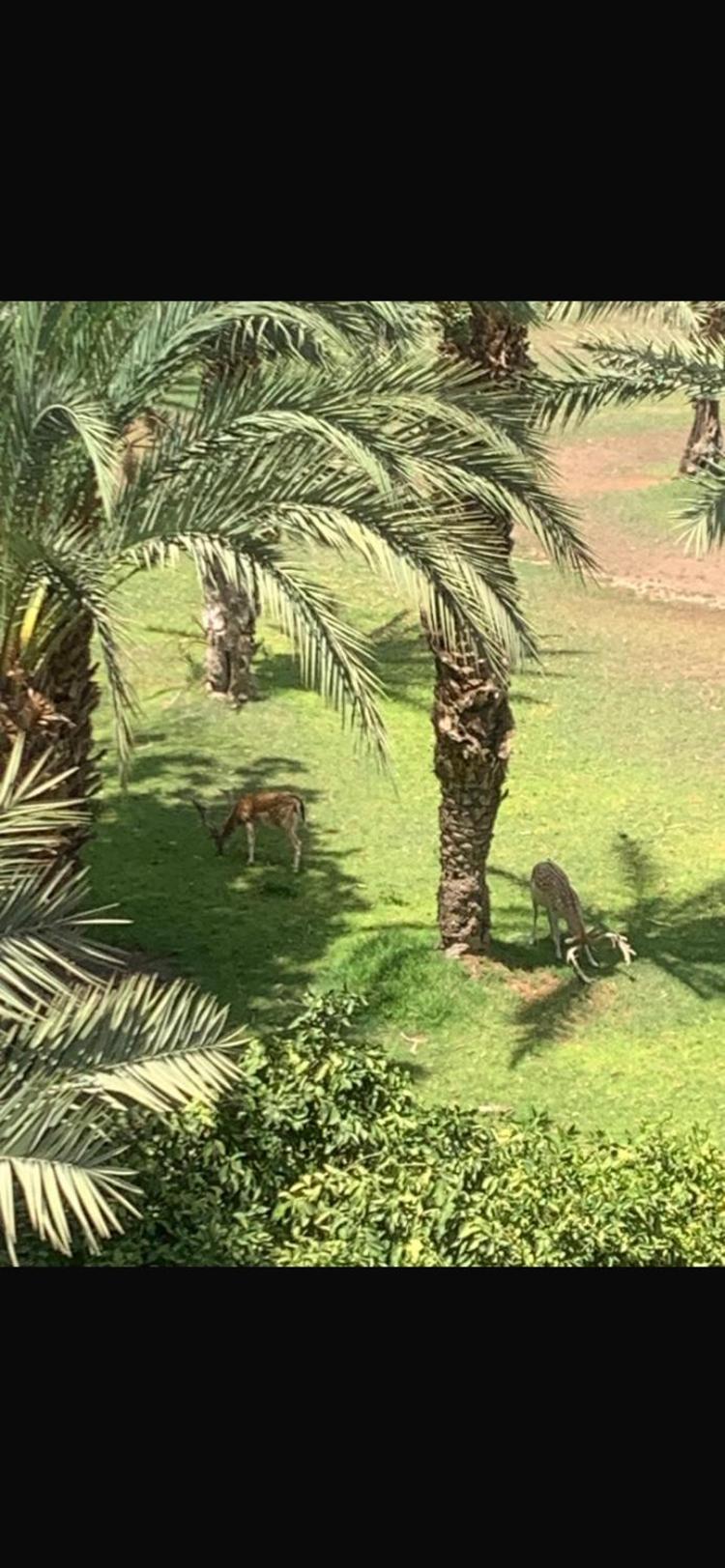 Casa vacanze Nolya Luxury Marrakech - Totalement Renove - Capacite Jusqu A 10 Lits Spacieux Marrakesh